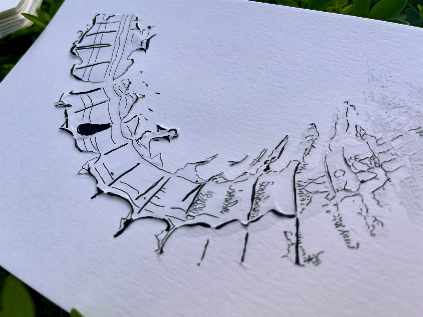 Postcard #31