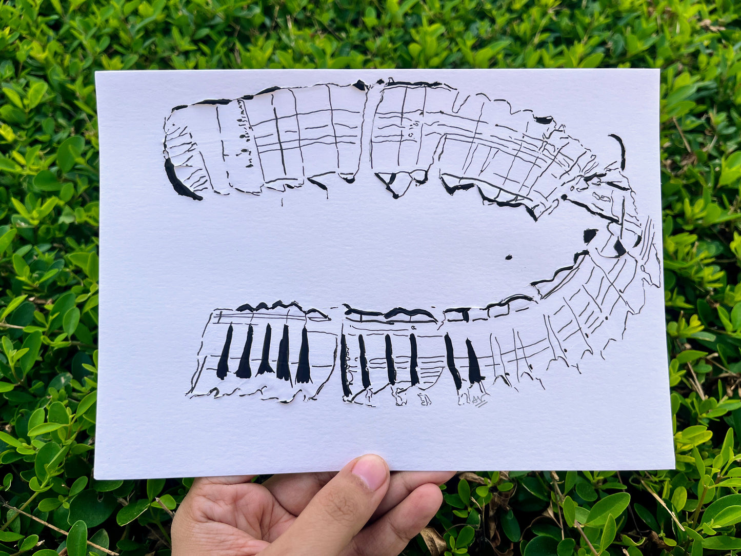 Postcard #43