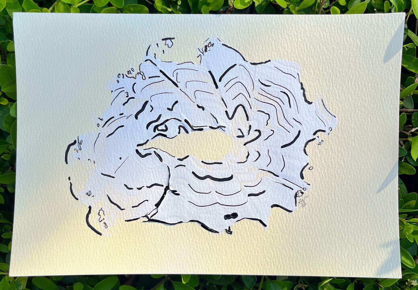 Postcard #28