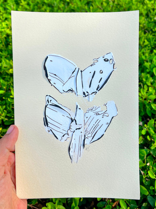 Postcard #29