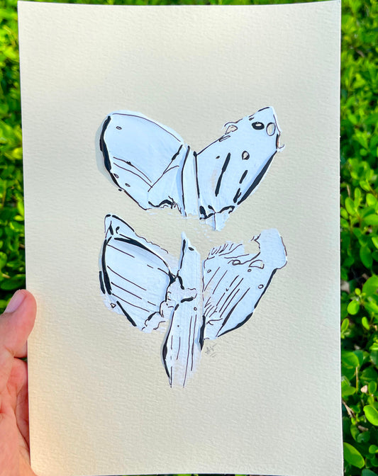 Postcard #29