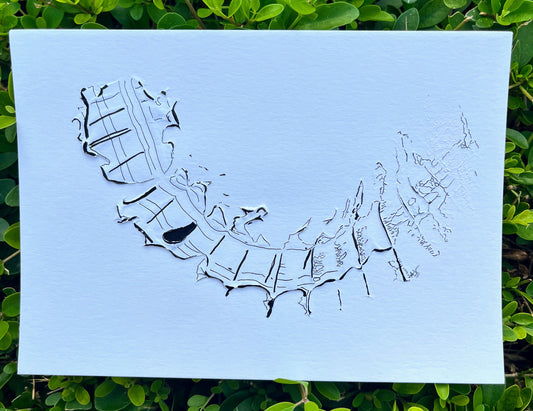 Postcard #31