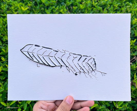 Postcard #37