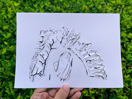 Postcard - #38