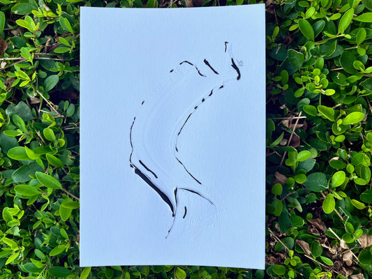 Postcard #41
