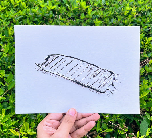 Postcard #42